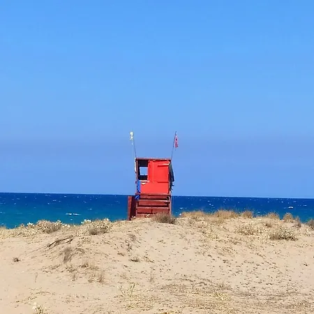 The Dune House *